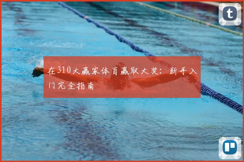 在310大赢家体育赢取大奖：新手入门完全指南