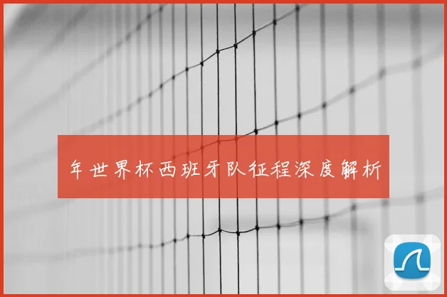 年世界杯西班牙队征程深度解析