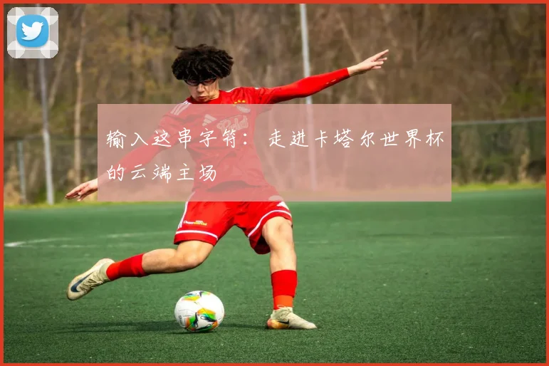 输入这串字符：走进卡塔尔世界杯的云端主场