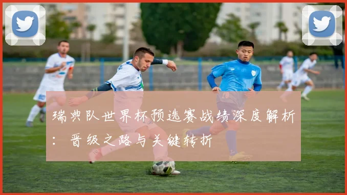 瑞典队世界杯预选赛战绩深度解析：晋级之路与关键转折