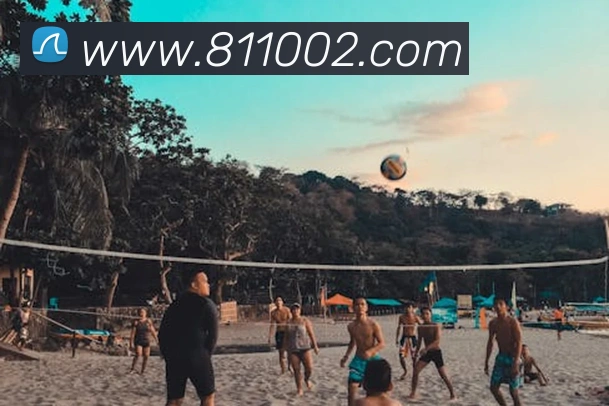 ac米兰最新官网APP 封面图